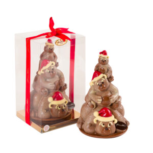 Albero Cono Famiglia Orsi